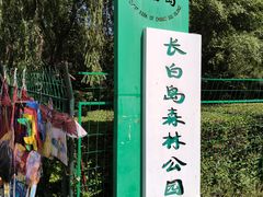 -长白岛森林公园