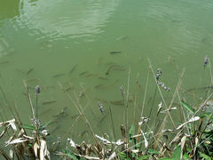 android_upload_pic-和顺柏联温泉
