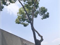 -侵华日军南京大屠杀遇难同胞纪念馆