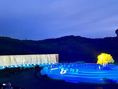 -鼎盛王朝康熙大典实景演出