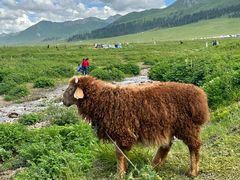 -新疆那拉提国家旅游度假区
