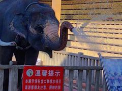 -贵州森林野生动物园