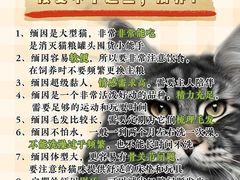 -翊宠yipet猫狗购宠庄园犬舍•猫舍