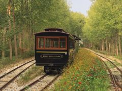 -合肥滨湖国家森林公园