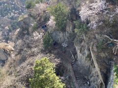 -北京鹫峰国家森林公园