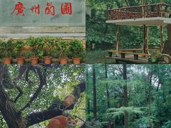 -广州兰圃