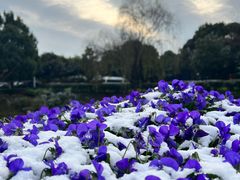 -天目湖涵田半山温泉