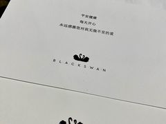 -BLACKSWAN黑天鹅(环球店)