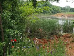 -盘龙城国家考古遗址公园