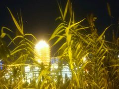 -眉山湿地公园(东坡区)
