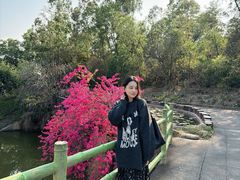 -广州莲花山旅游区