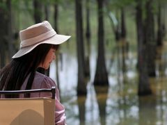 -白鹭湾湿地公园