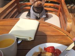 -上海崇明金茂凯悦酒店