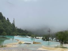 -黄龙山原始森林景区