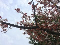 -艾溪湖湿地公园