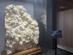 -阆辣荟餐饮(老味道8年·古城店)