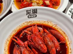 -龙巢盱眙龙虾·牛蛙·烧烤宵夜(八卦岭店)