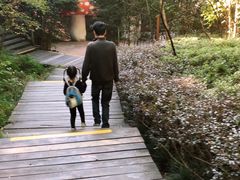 -天目湖山水园