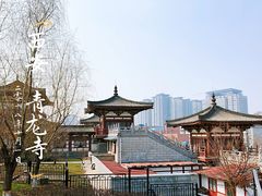 -西安青龙寺遗址景区