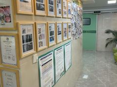 -半岛宠物医院24小时·内窥镜·牙科·碎石中心(府城大道店)