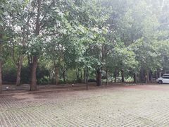 -银树楼(紫玉山庄东区店)