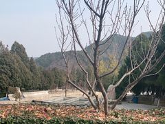 -万佛园景区