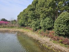 -同里国家湿地公园