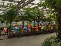 -南宫五洲植物乐园