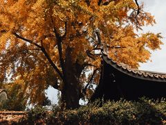 -惠山古镇·寄畅园