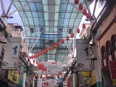 -罗汉果龙眼冰糖燉冬瓜
