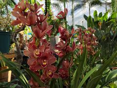 -国家植物园南园