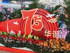 -青岛胶东国际机场
