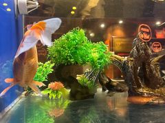 -蚝翅·海鲜粥·烧烤·龙虾季(海曙天一店)