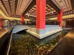 -龙悦湾酒家·八阵鱼生·渔人码头店