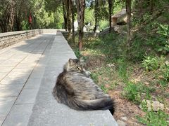 -四门塔风景区