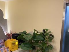 -老成都·古法采耳·禅洗头疗(四川总店)