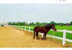 -圣露庄园·草坪婚礼·宴会厅·会议