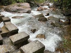 -广州白江湖森林公园