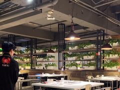 -七欣天(南京江宁店)