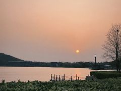 -上海月湖雕塑公园