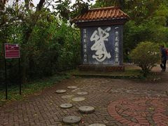 -靖西鹅泉风景区