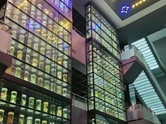 -广东中医药博物馆