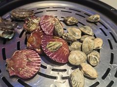 -苏大嘴蒸汽海鲜·海胆蒸饺(中山广场店)