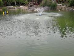 -郑和公园