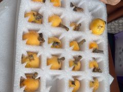 -上海吉臣维景酒店·维多利亚餐厅