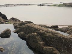 -日照灯塔风景区