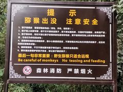 -苏州上方山国家森林公园