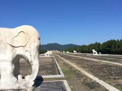 -清东陵