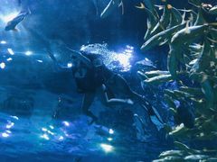 -华夏文旅海洋公园