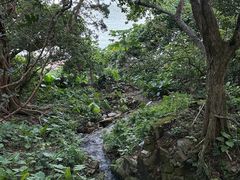-赤柱马坑公园
